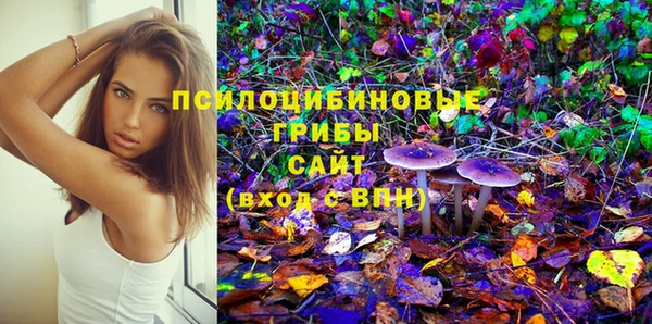 тгк Горняк