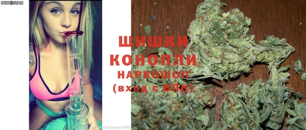 дживик Анжеро-Судженск