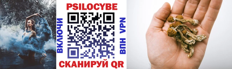 Галлюциногенные грибы мухоморы ссылка на мегу зеркало Донской наркошоп